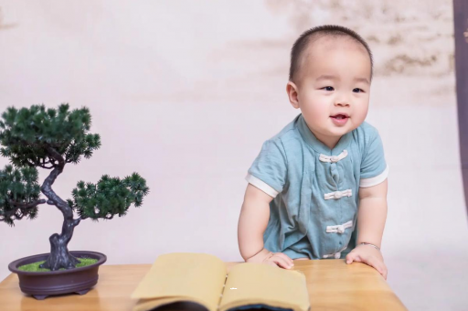 海丰可爱的企鹅宝宝